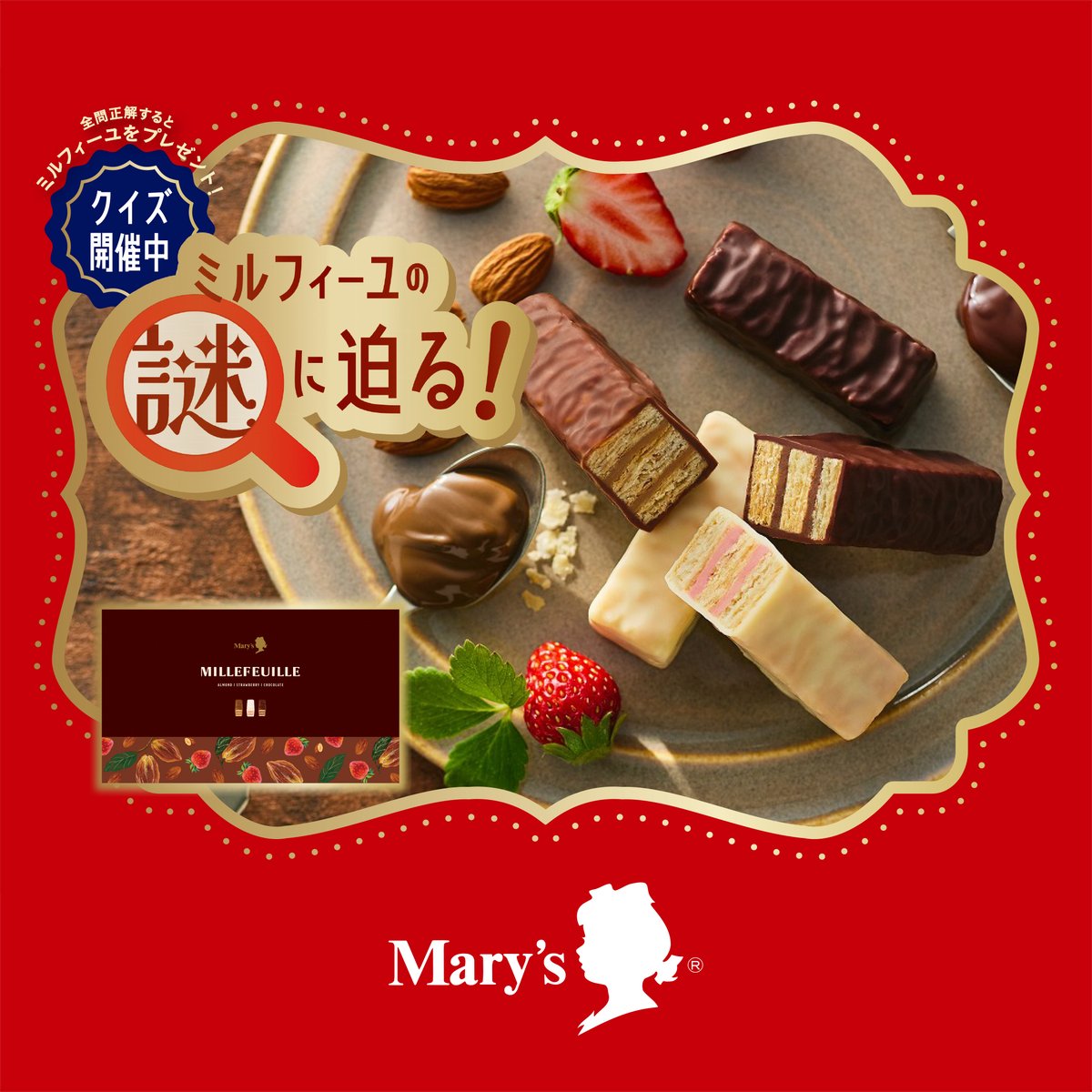 空缶 Mary's Jamila 3種セット ジャミーラ 2024 空缶 3種セット