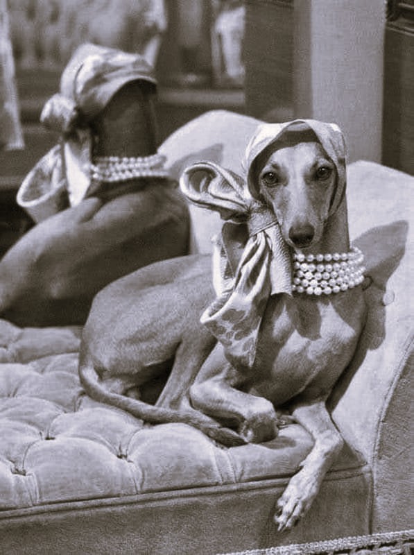 Εγώ, όταν περνάει όμορφος άνδρας από το τλ.