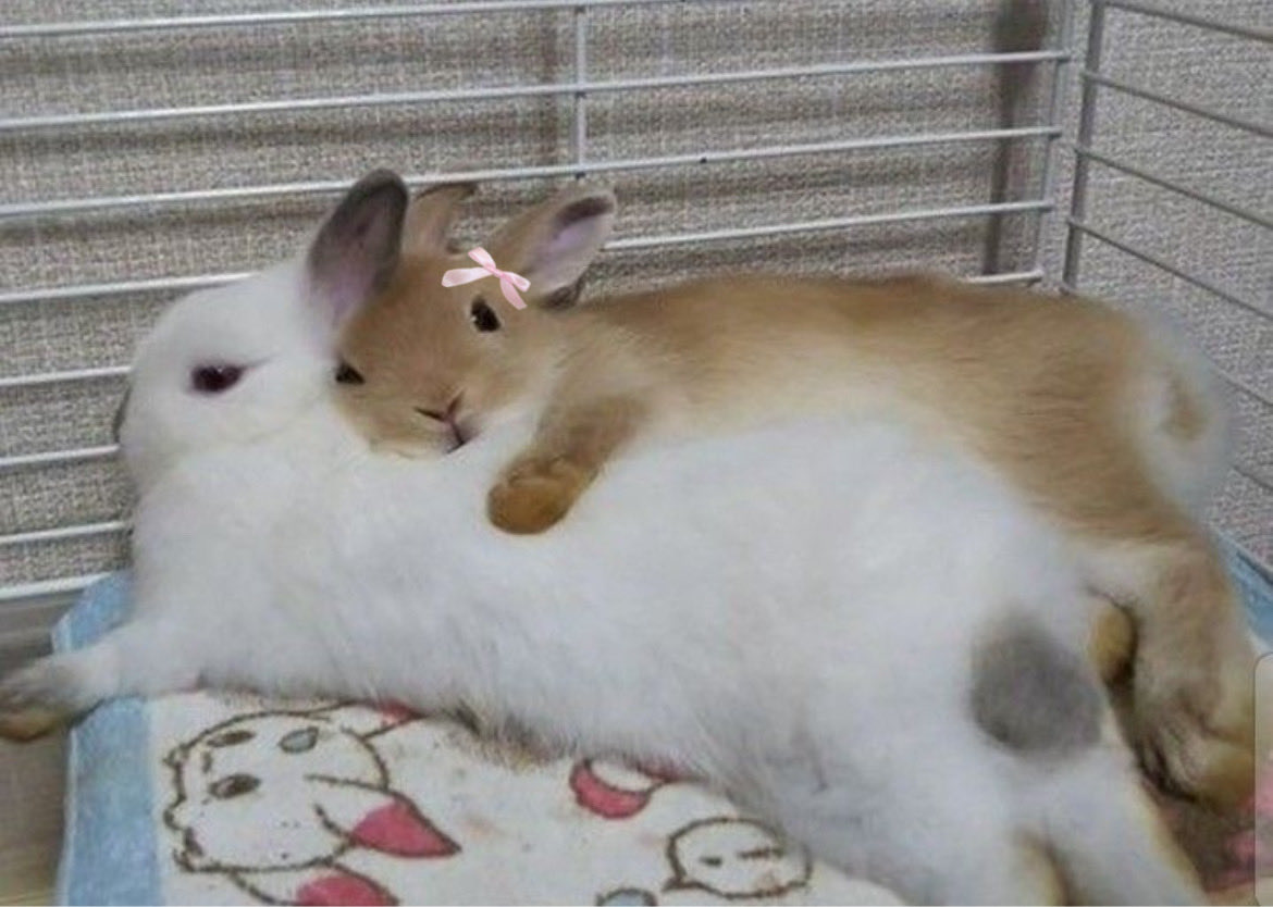HE'S MINE