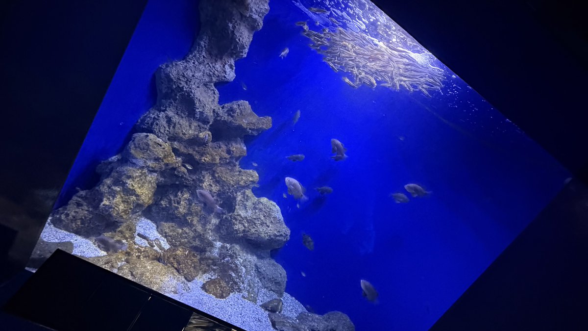 楽しかったねぇ〜