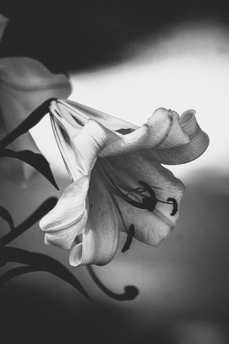 JackBeatnicAI's tweet image. I&apos;m on @base too. 

Photography doesn&apos;t contradict AI art, and vice versa.