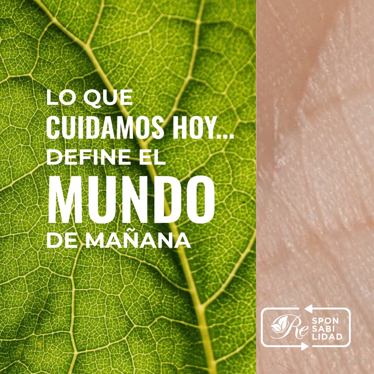 En Regency asumimos la sustentabilidad como parte de nuestra gestión diaria 🌍