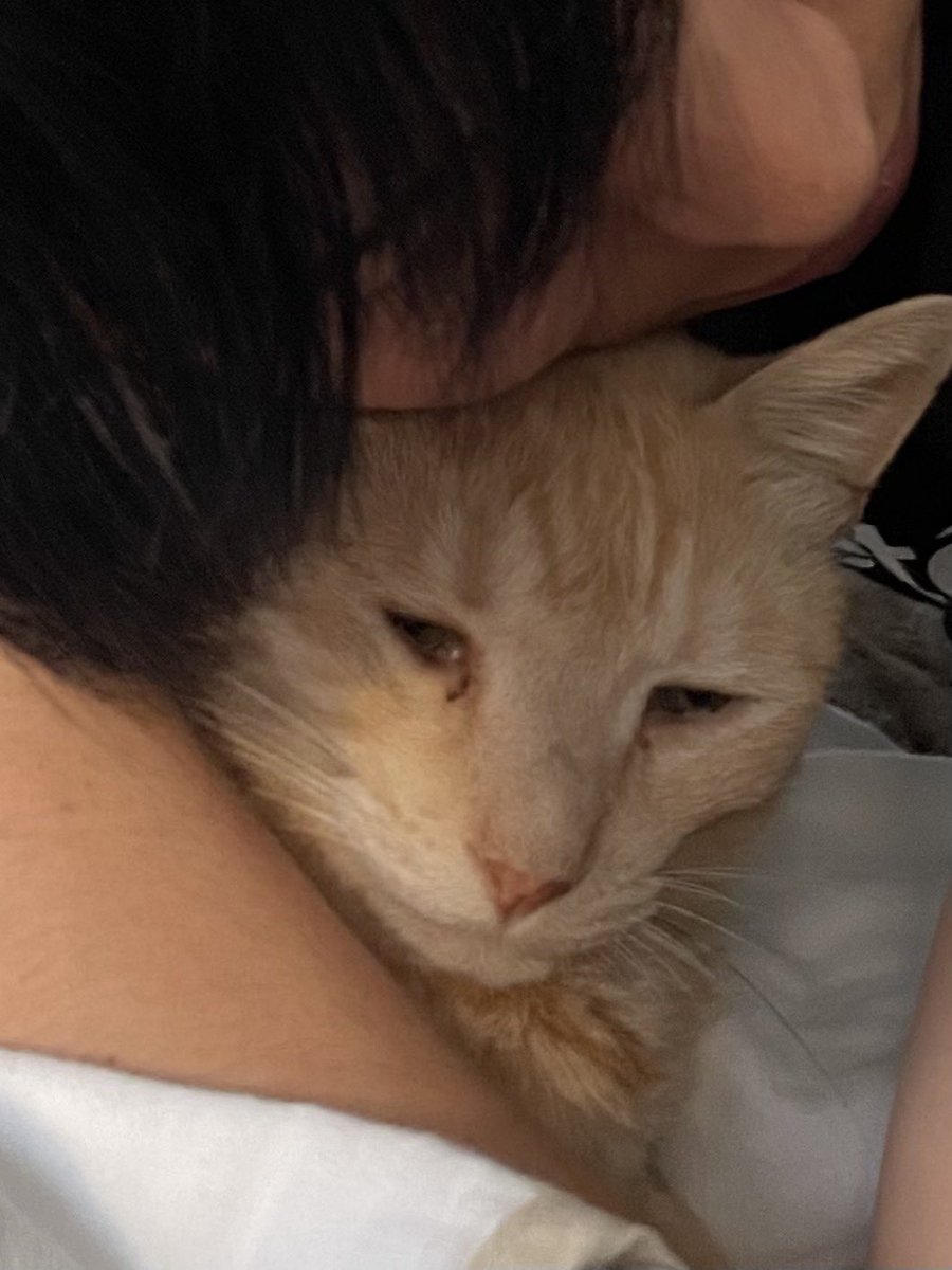 え (@ddn_e) on Twitter photo 