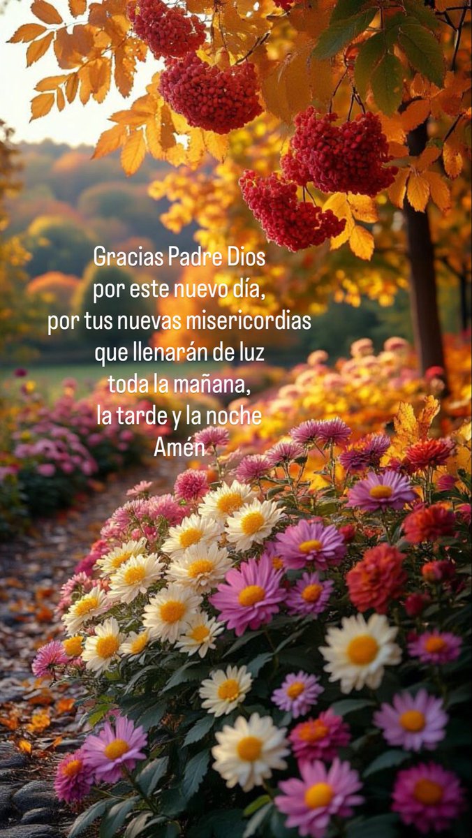 Herbert  Araujo (@herbert_0110) on Twitter photo 