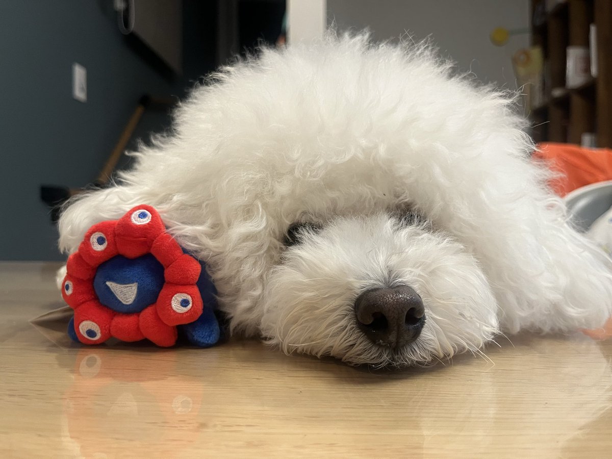 万博お疲れ様の犬