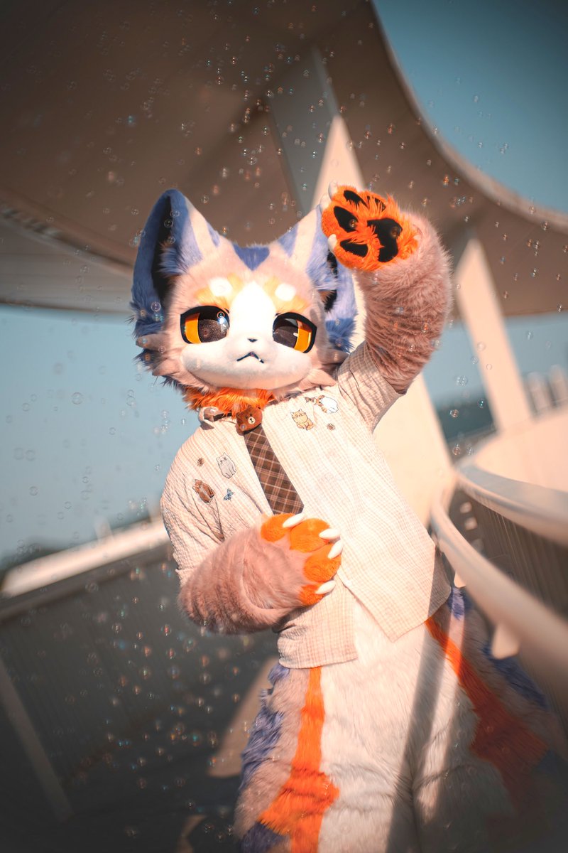 碳丸·炭まる🐟 tweet media
