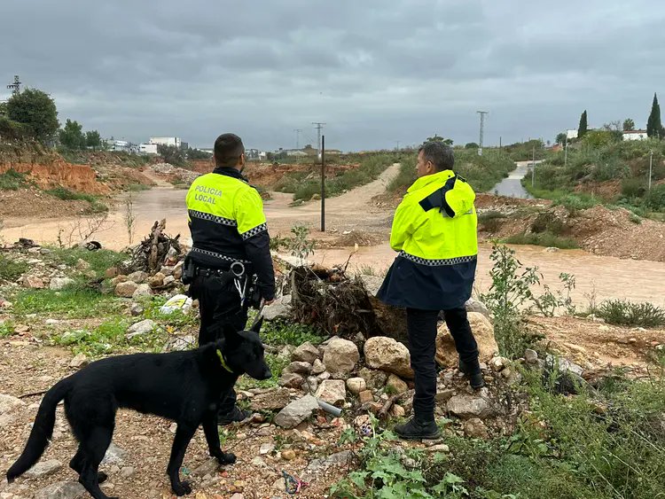 ⛈️ Torrent cierra el episodio de la DANA Alice con 199,4 mm de lluvia y un amplio despliegue de emergencias
comarcalcv.com/torrent/torren…