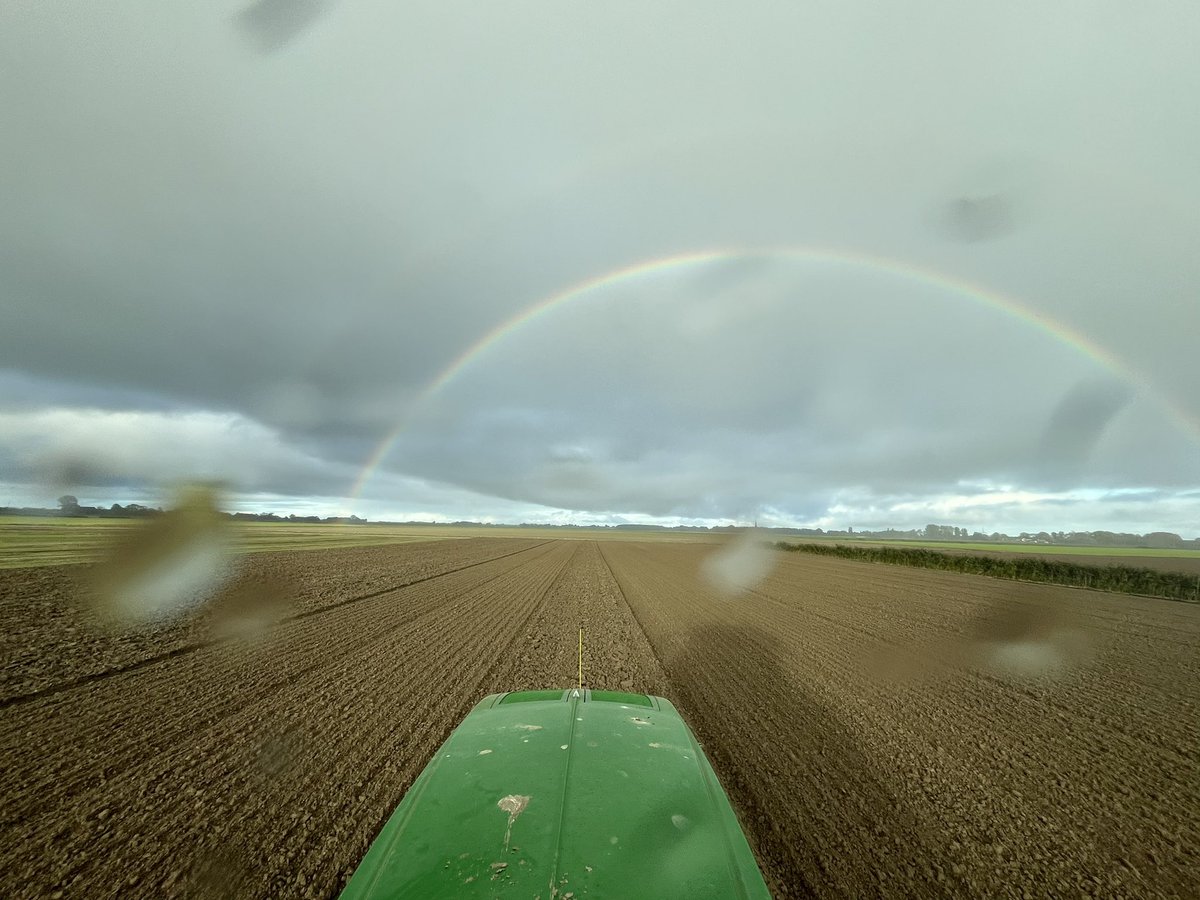 Kor Berghuis tweet media