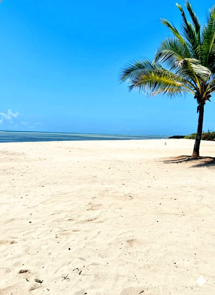 rajuQuire's tweet image. Mombasa in kilifi👋🏻🏝
#SpecialDay
#NyerereDay ➡️