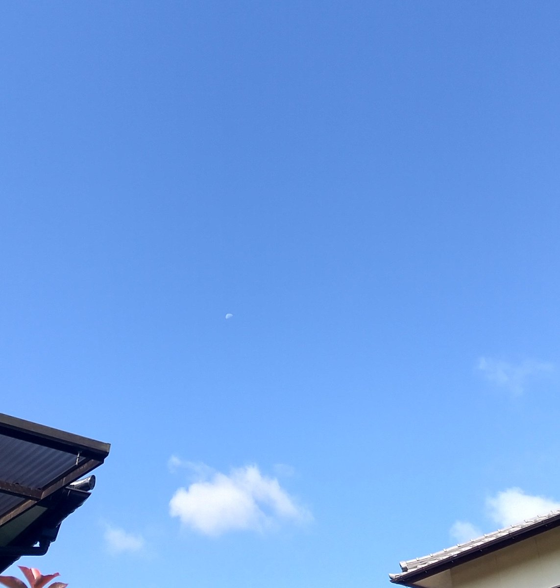 marublanct's tweet image. 写真アプリから1枚ずつしかポストできず、X上では編集やスタンプもNG
はや数日、X公式は未対応
 #Android  #写真ポストできない