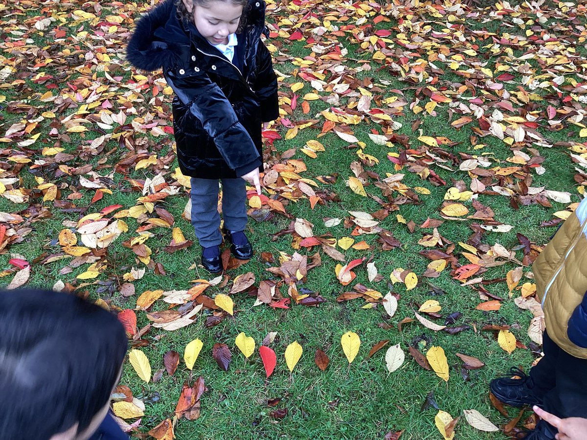 YewTreeSandwell's tweet image. RC are creating A B patterns with natural resources today! #LearningWithoutLimits