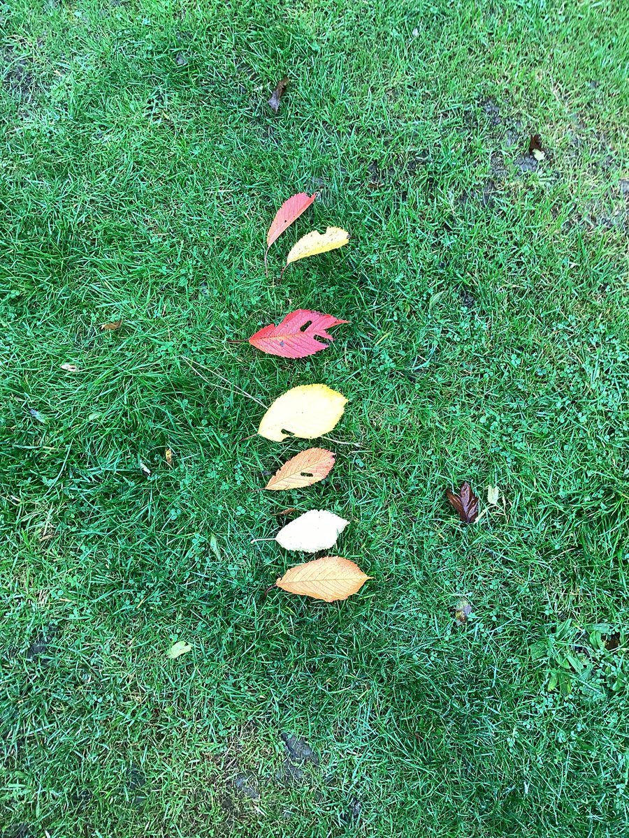 YewTreeSandwell's tweet image. RC are creating A B patterns with natural resources today! #LearningWithoutLimits