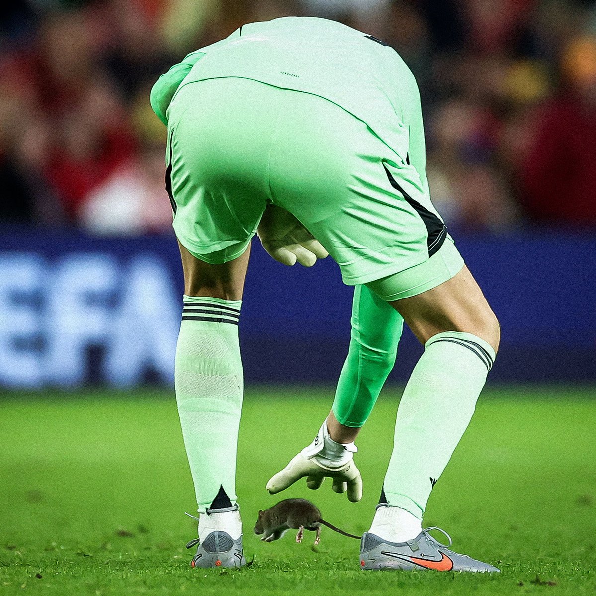 Mon Standard tweet media