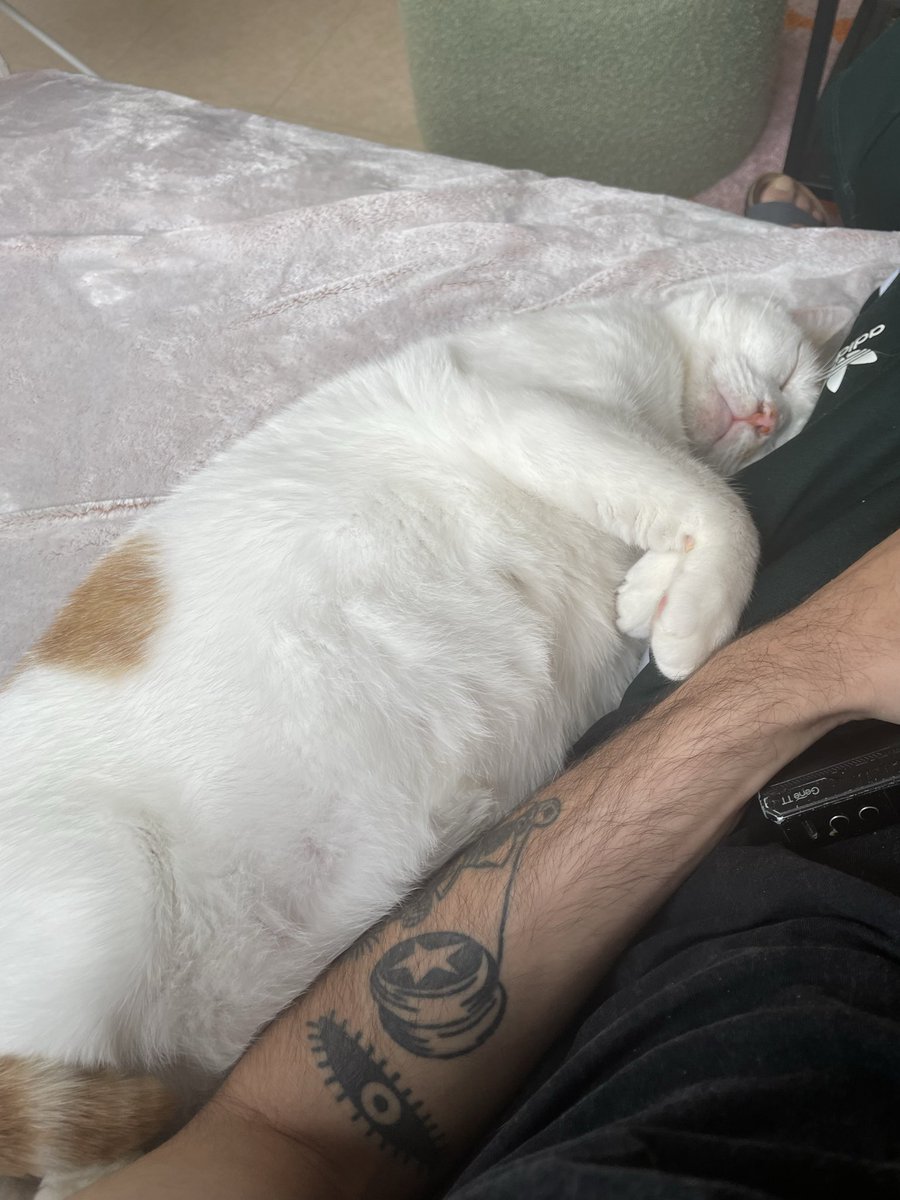 KRB l Sleepy_Sloth tweet media