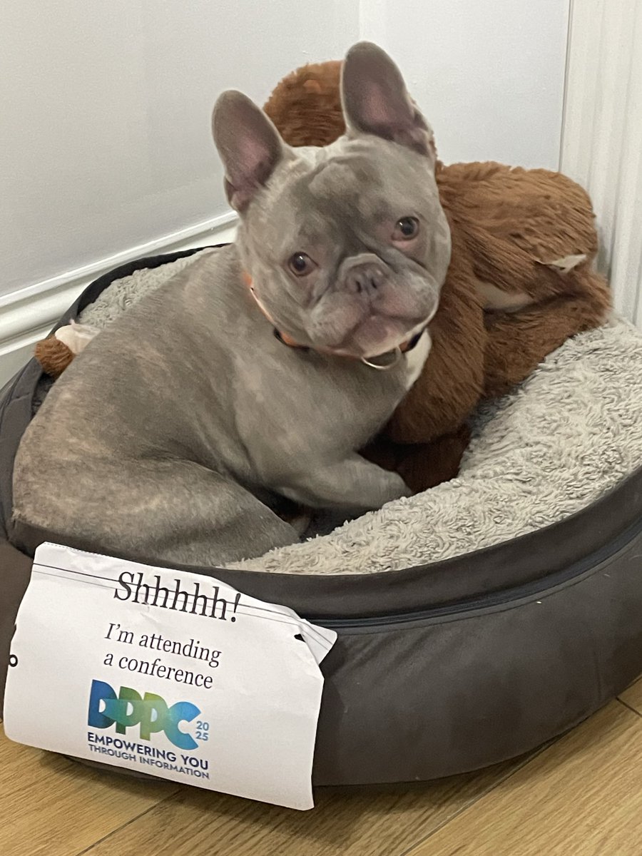 #DPPC2025 #DPPC Bear and his stuffy in the quiet corner. Looks like he’s saying “Sshhhhh! Can you not see the sign. (that I chewed before attaching it?)” #ico #ukgdpr