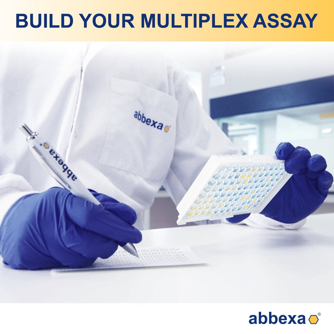 abbexa's tweet image. Create your own Custom Multiplex Assay with Abbexa. Detect multiple targets in a single sample: faster, smarter, and tailored to your needs.
👉Fill out a quick form and get a response within 48 hours: bit.ly/46WNOYi
#MultiplexAssay #CustomAssay