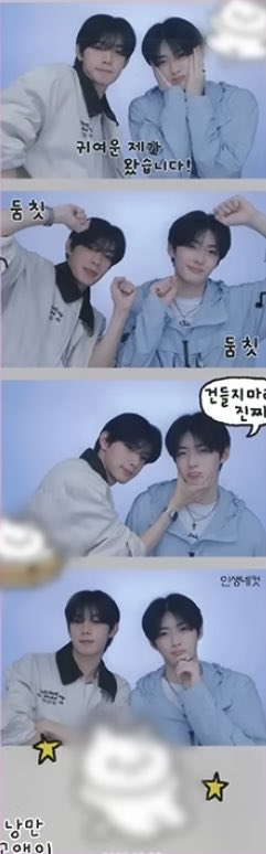 모야 추추즈 인생네컷 개귀엽다아..!
얘네 얼굴합이 걍 미쳤음
