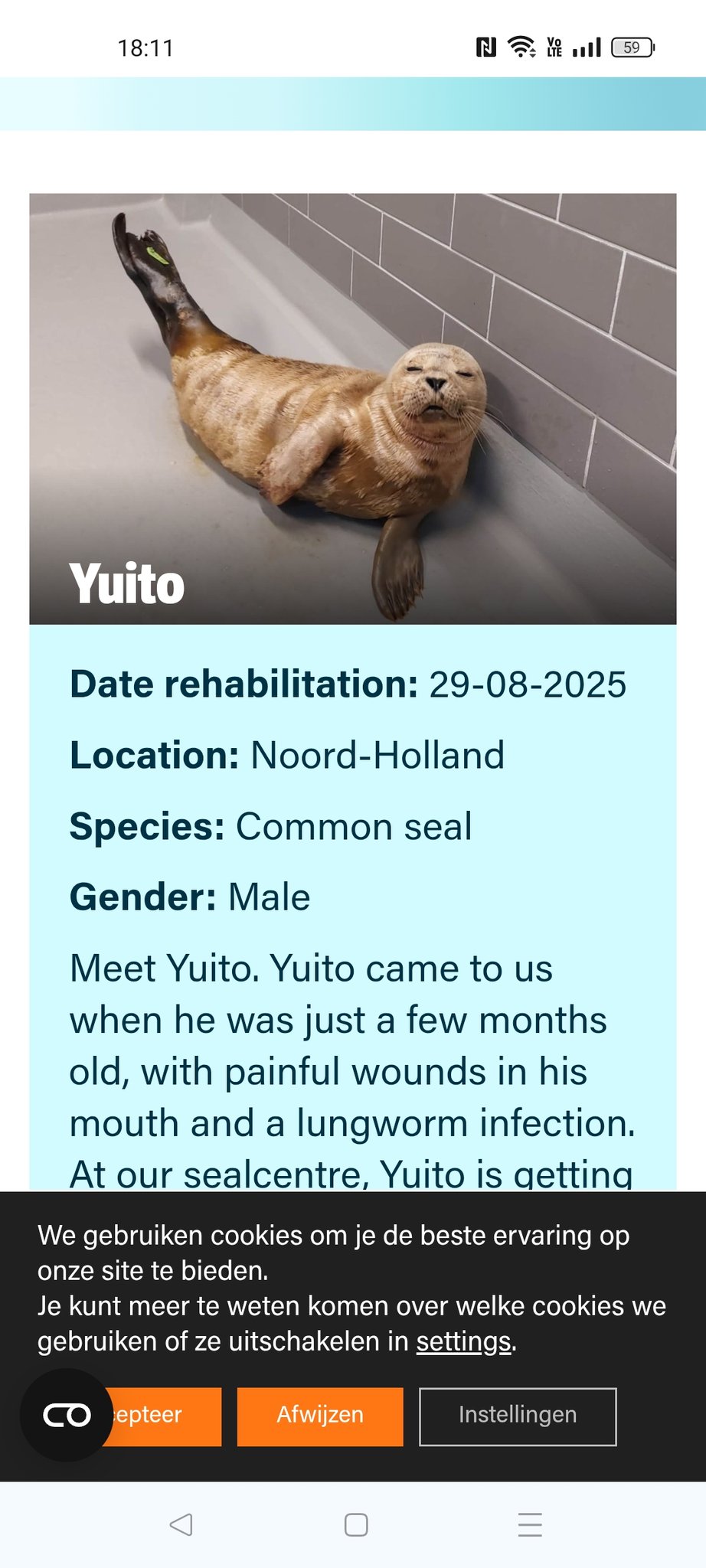 号 (@gogo___xo) / X