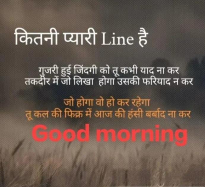 Sanjay Marwaha (@sanjaymarwaha3) on Twitter photo 