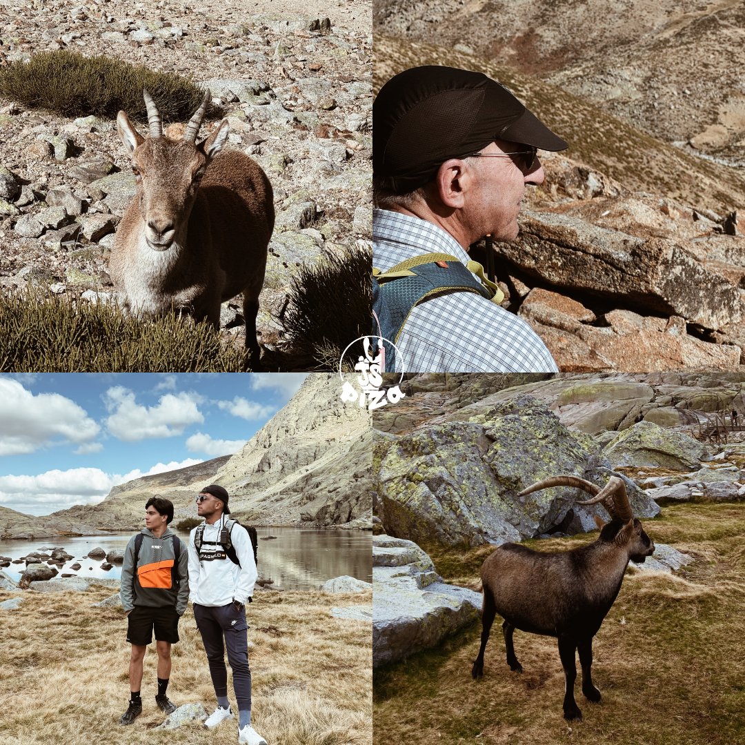 🚌 Los animadores nos fuimos a la Sierra de Gredos a desconectar, compartir y disfrutar juntos. 

🌲Cada paso y sonrisa construyen comunidad, alegría y esperanza. 💫

La montaña nos recordó que en lo sencillo también se hace presente Dios. 🙌✨
