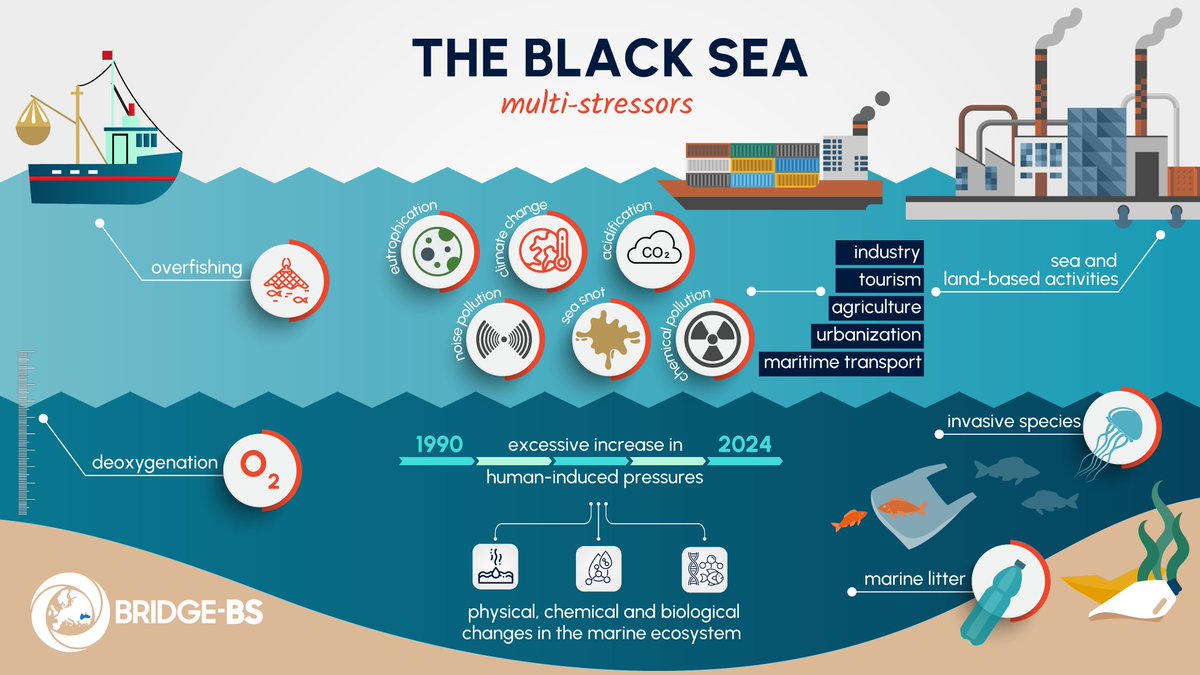 With ecosystem boundaries and increasing multi-stressors, how can we ensure safe and sustainable marine research?

🎯BRIDGE Black Sea Digital Twin Ocean Demonstrator defines Safe Operating Space for the Black Sea!

Register for our webinar to learn more!
us02web.zoom.us/meeting/regist…