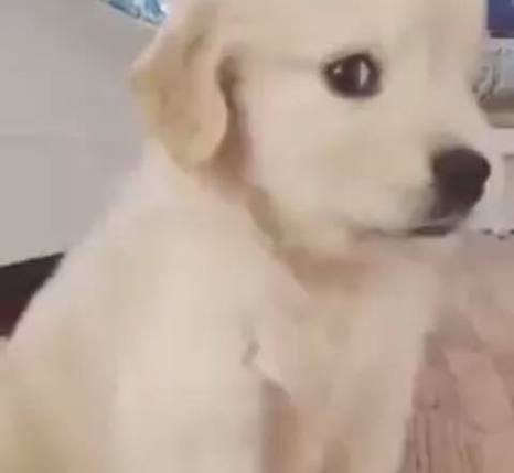 닮았어…