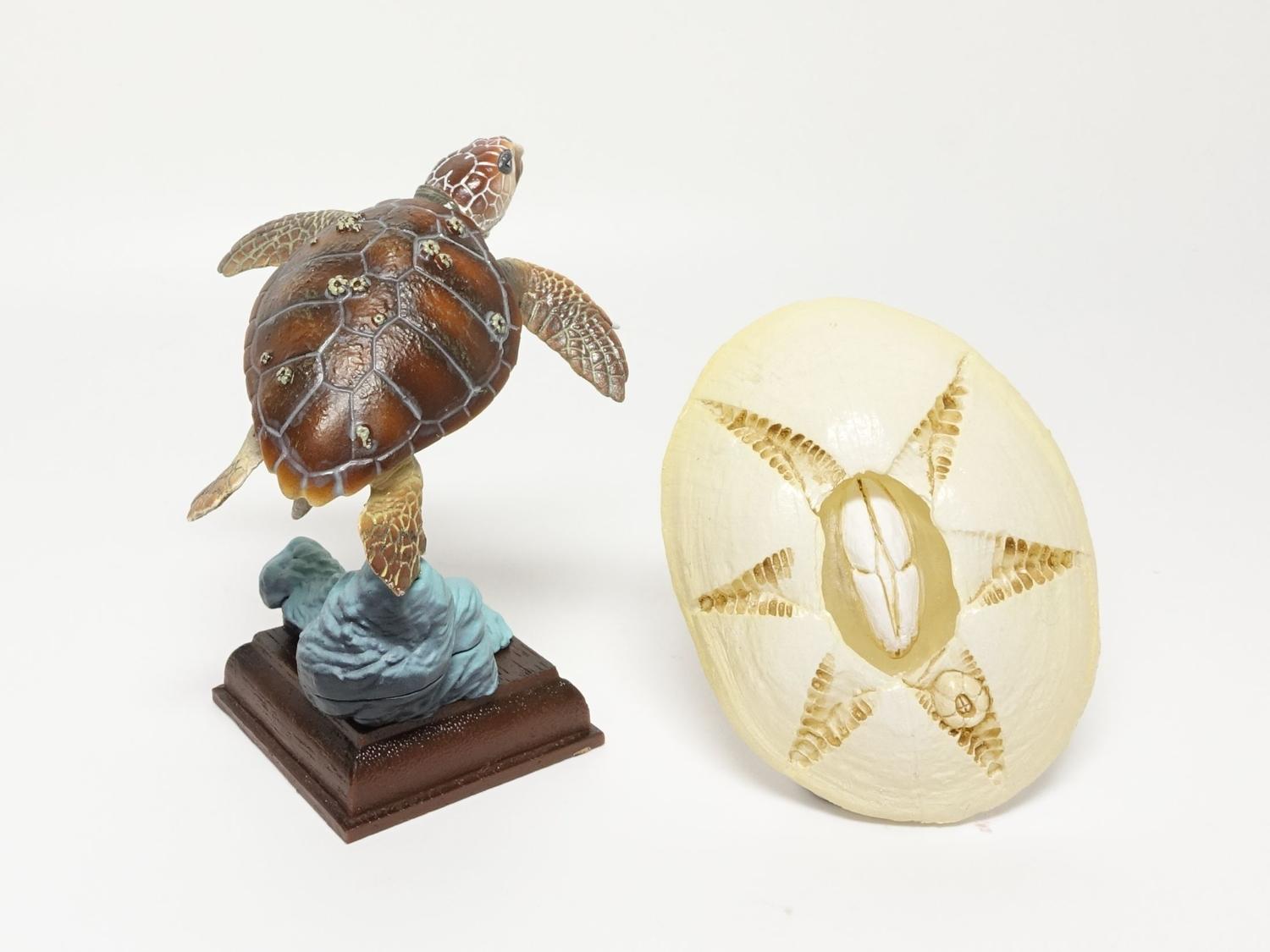 スッポンモドキ フィギュア ネイチャーテクニカラー スッポンモドキ フィギュア ネイチャーテクニカラー ネイチャー