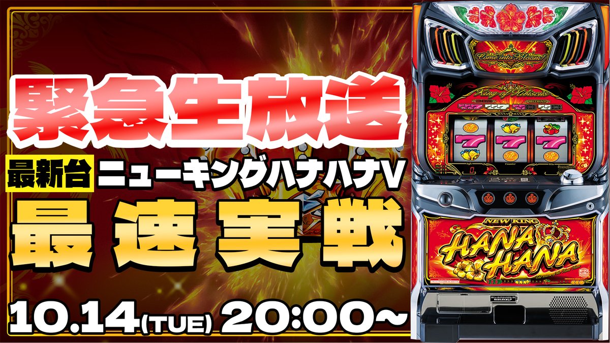 5号機 ニューキングハナハナ パイオニア 不要機 パチスロ実機 2014年 5号機 ニューキングハナハナ パイオニア コイン不要機 パチスロ実機 2014年