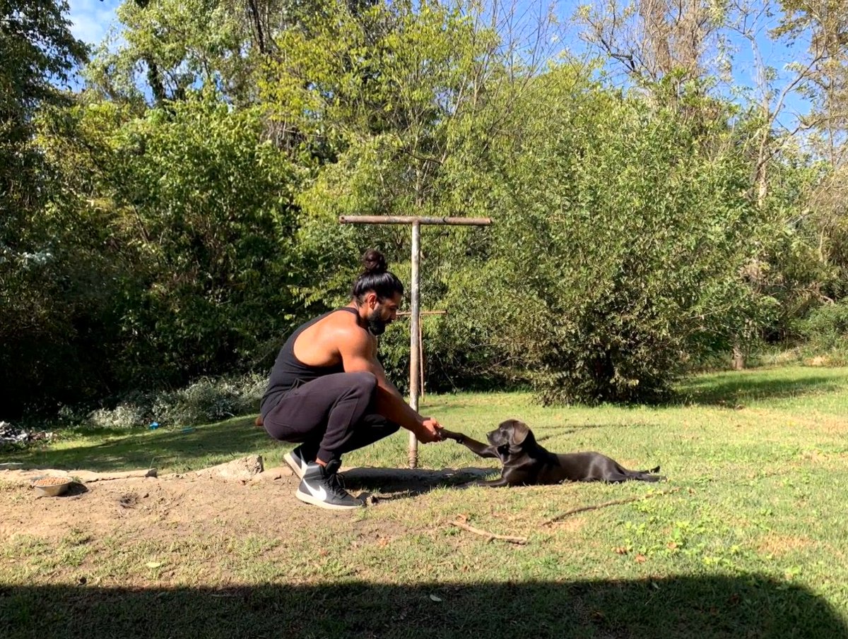 IntuitiveHaz3's tweet image. New Music Video Tonight Around 12.. 🦍🌴..Exploring New Creative Avenues In The Meantime,💣💥🔥. Something That&apos;s A bit More Grounded Into Reality.. 💪😉👌#IntuitiveHaze, #Tarzan, #TheWolverine,