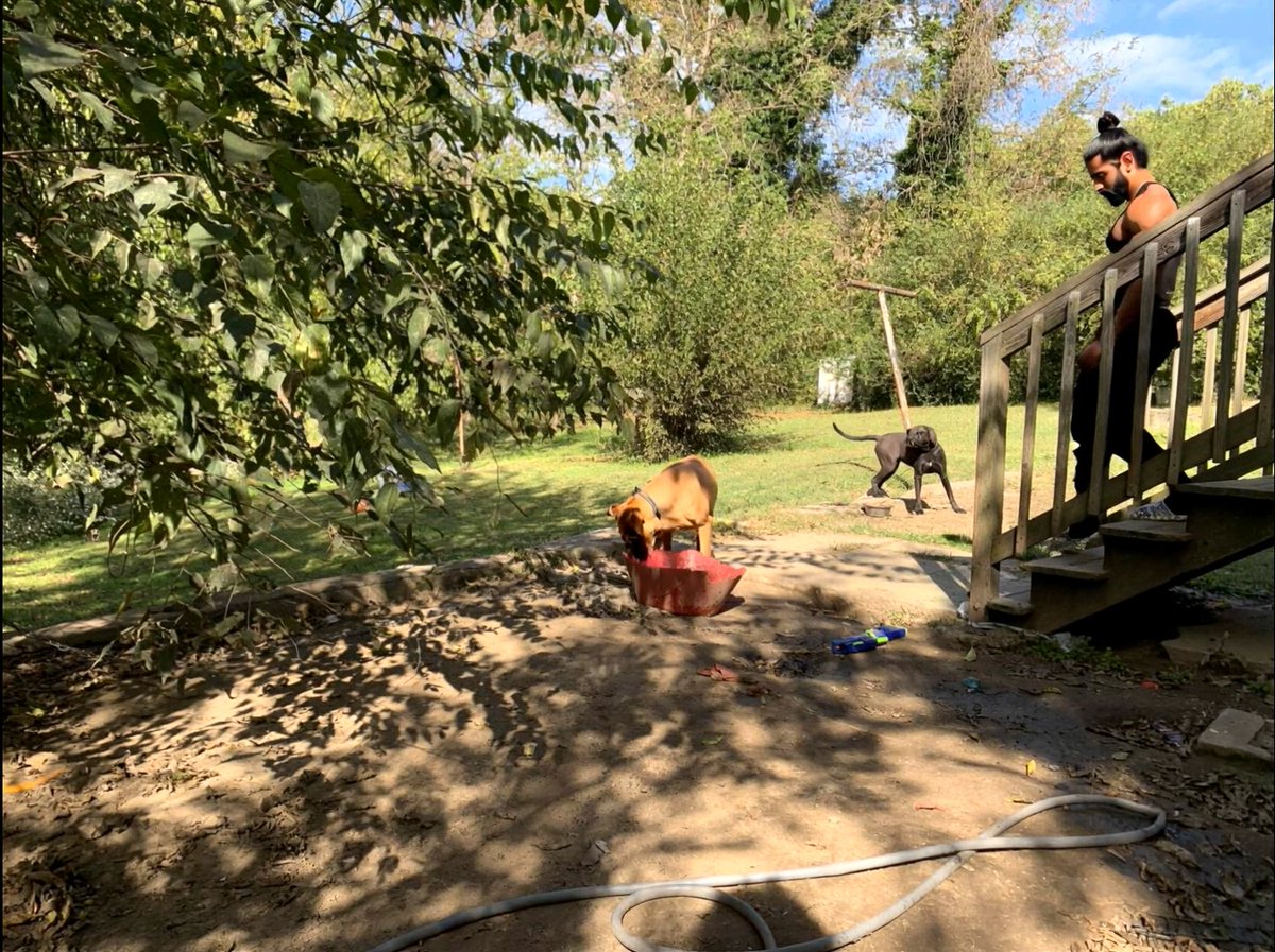 IntuitiveHaz3's tweet image. New Music Video Tonight Around 12.. 🦍🌴..Exploring New Creative Avenues In The Meantime,💣💥🔥. Something That&apos;s A bit More Grounded Into Reality.. 💪😉👌#IntuitiveHaze, #Tarzan, #TheWolverine,