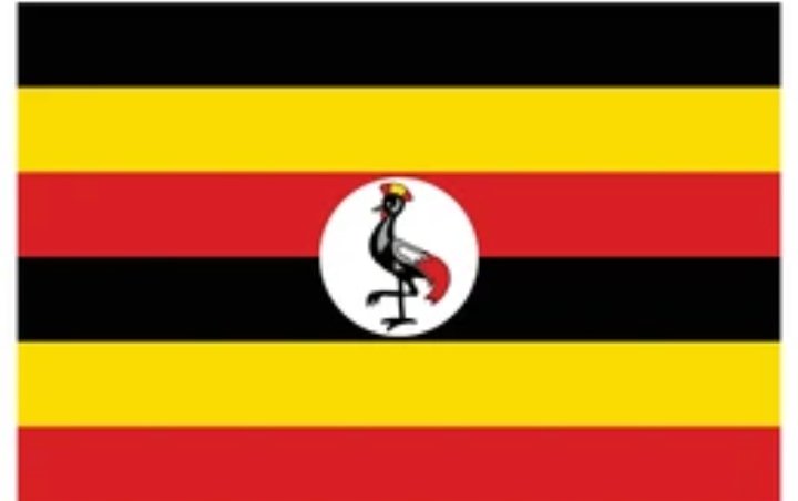 If you were given a chance to change the Uganda flag, which color would you delete permanently?