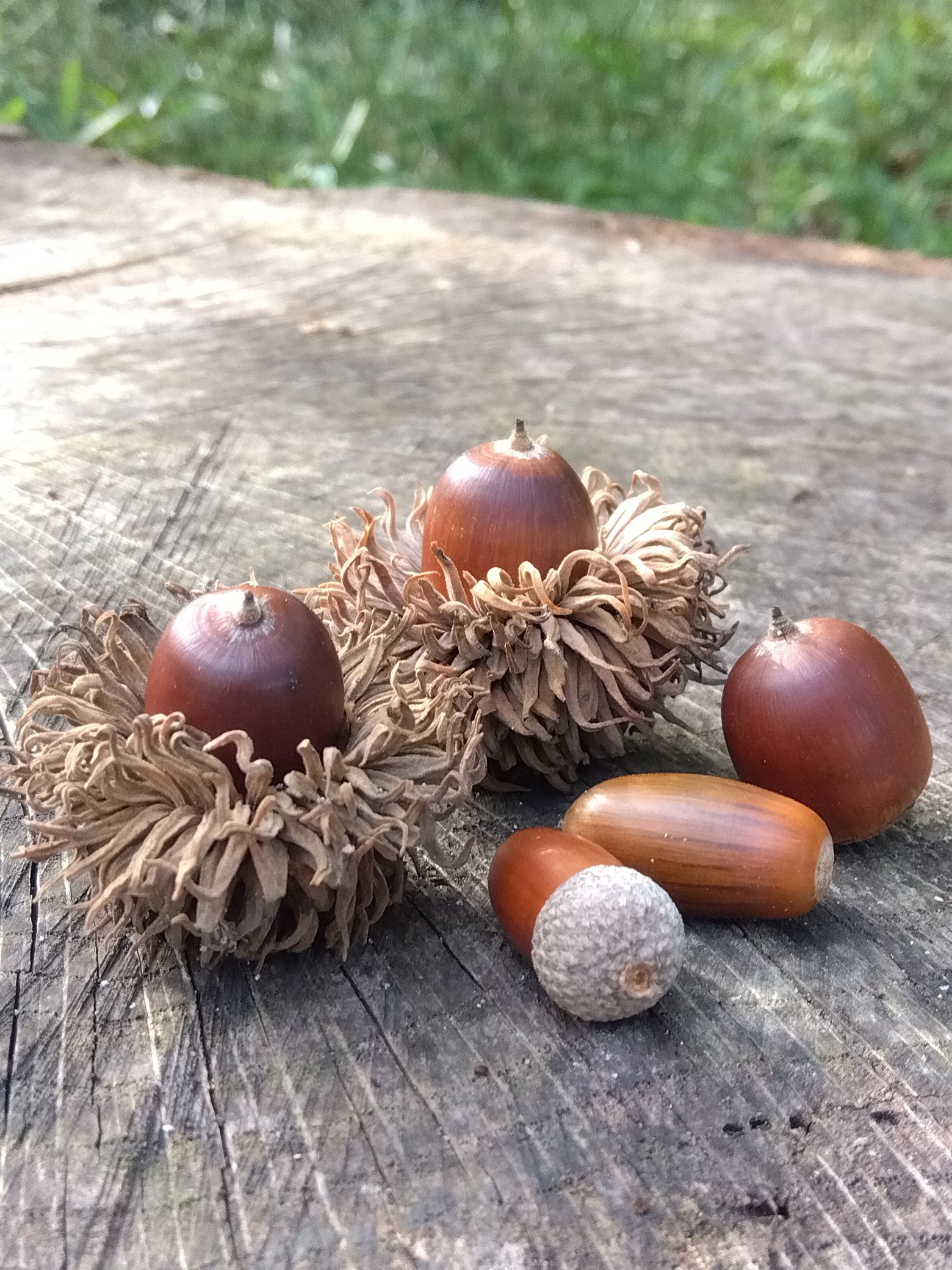 もっさん もっさん (@mo301846465) / X