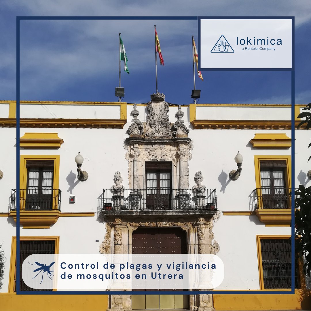 lokimica's tweet image. Utrera refuerza la salud ambiental con dos dispositivos coordinados: DDD (desinsectación, desratización y desinfección) y vigilancia de mosquitos bajo PMVCV (municipio de riesgo medio–alto).

👉 f.mtr.cool/qshblwjzin
 
#Utrera #PMVCV #ControlVectorial #SaludAmbiental #Lokímica