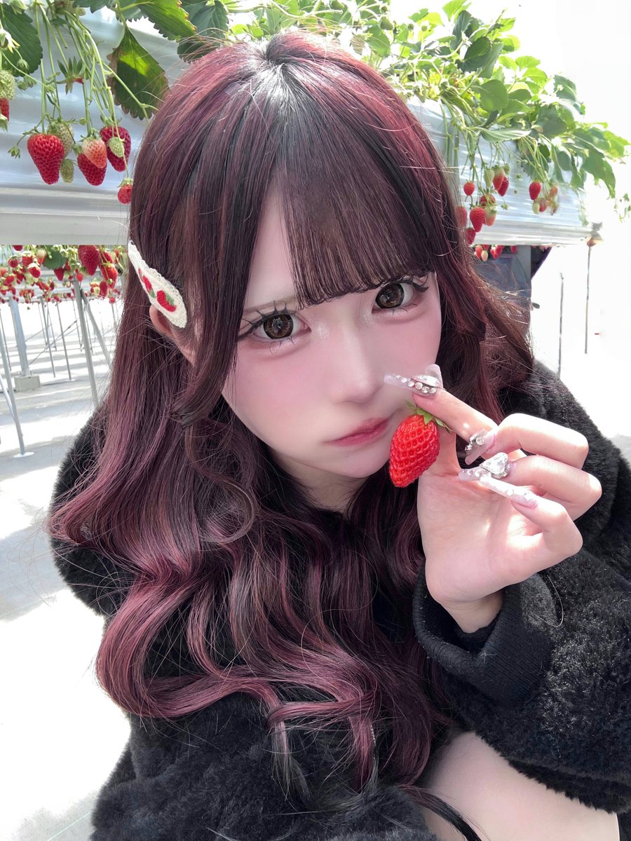 苺愛ここ tweet media