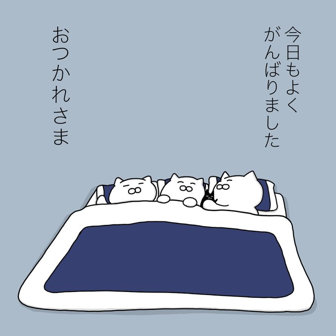 yamatokotobacat's tweet image. とくに何もしてないけど、