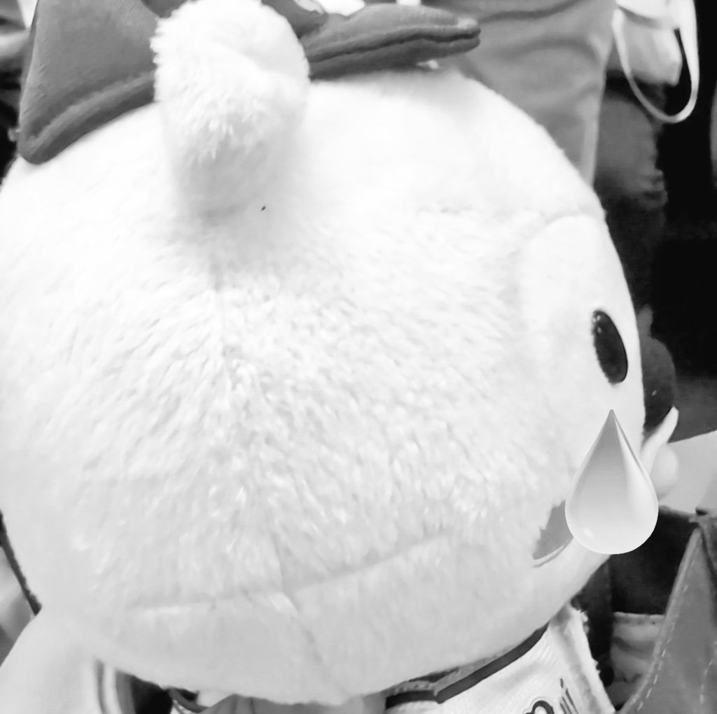 みかりん✨✨✨ (@mikarinchan0501) / Posts / X