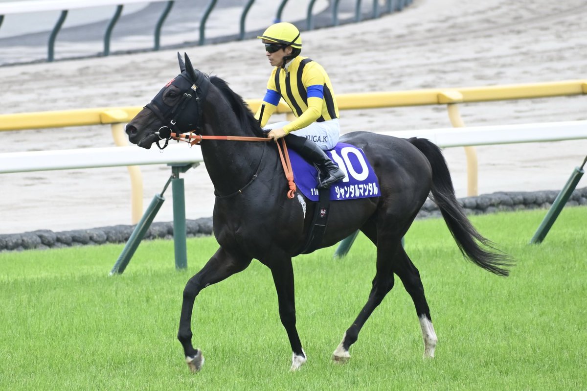 ドゥラメンテゼッケン Amazon.co.jp: 競馬 ドゥラメンテ ミニゼッケン 額縁 2点セット