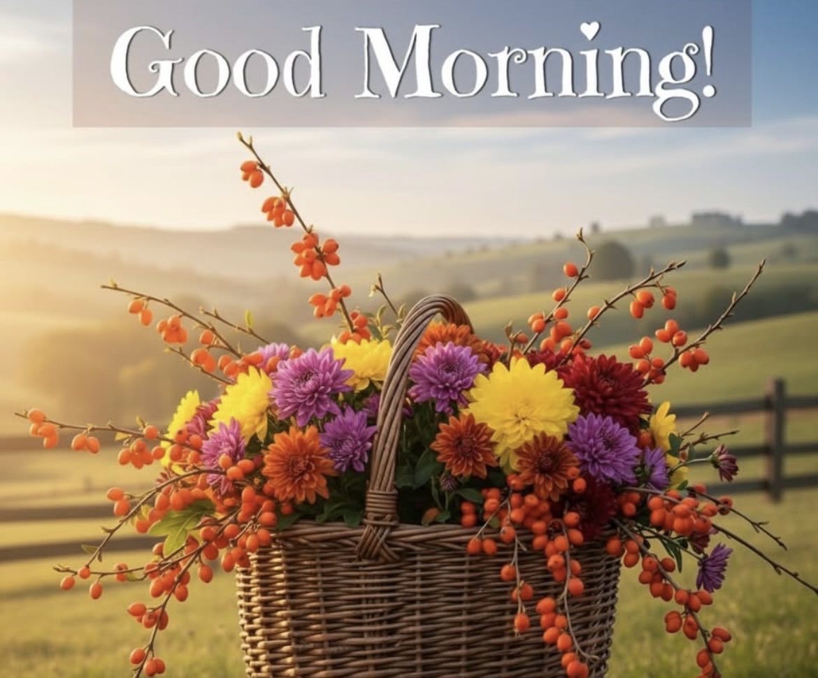 Have a beautiful day.🌞🙏🏻