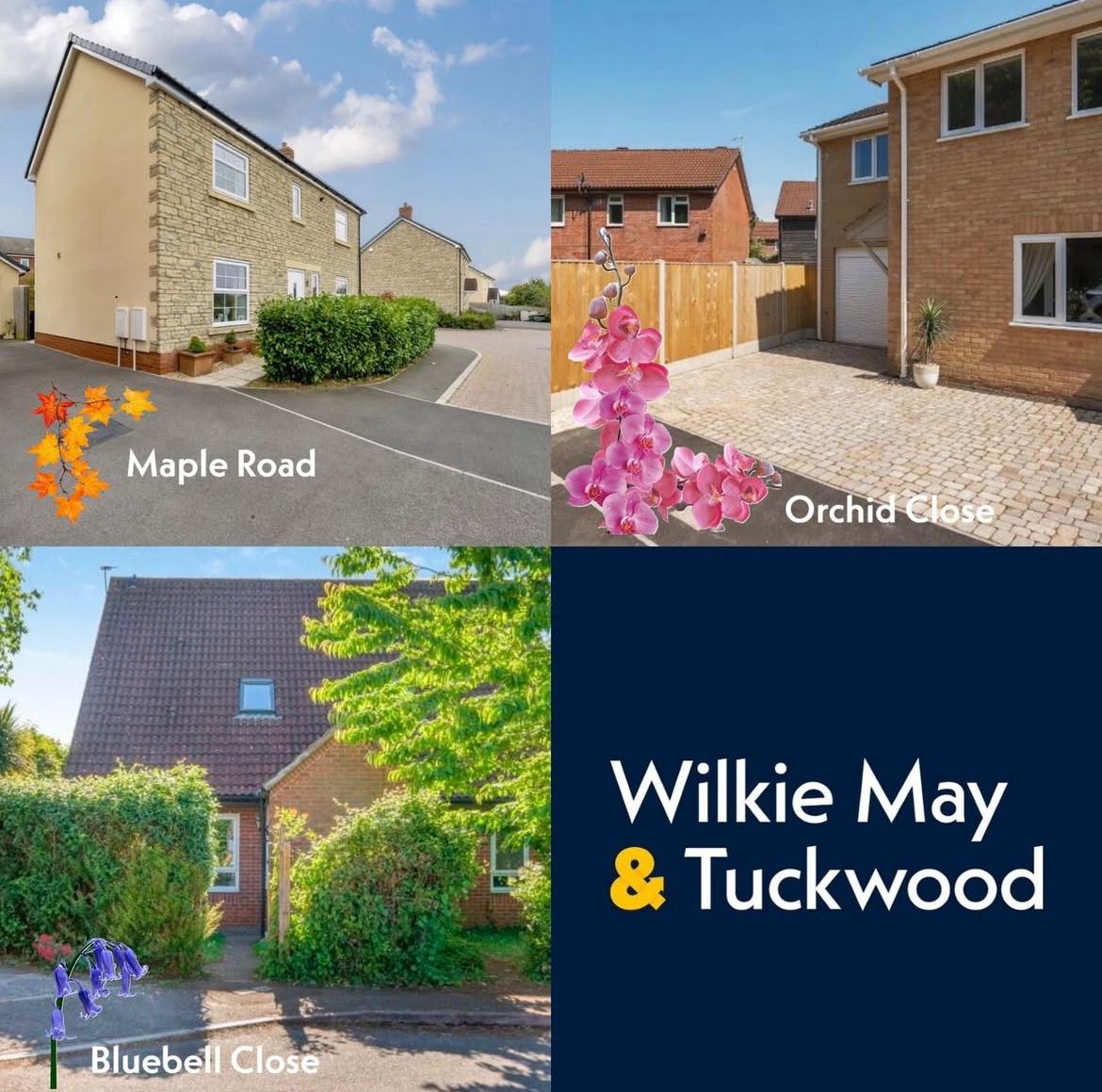 A floral hat trick! 🌺 

We have three happy buyers completing - Orchid Close, Maple Road &amp; Bluebell Close. All flower-themed &amp; all blooming lovely. 🏡 🌷 

Congratulations to everyone starting their next chapter. 🌿 #WeDoMore
