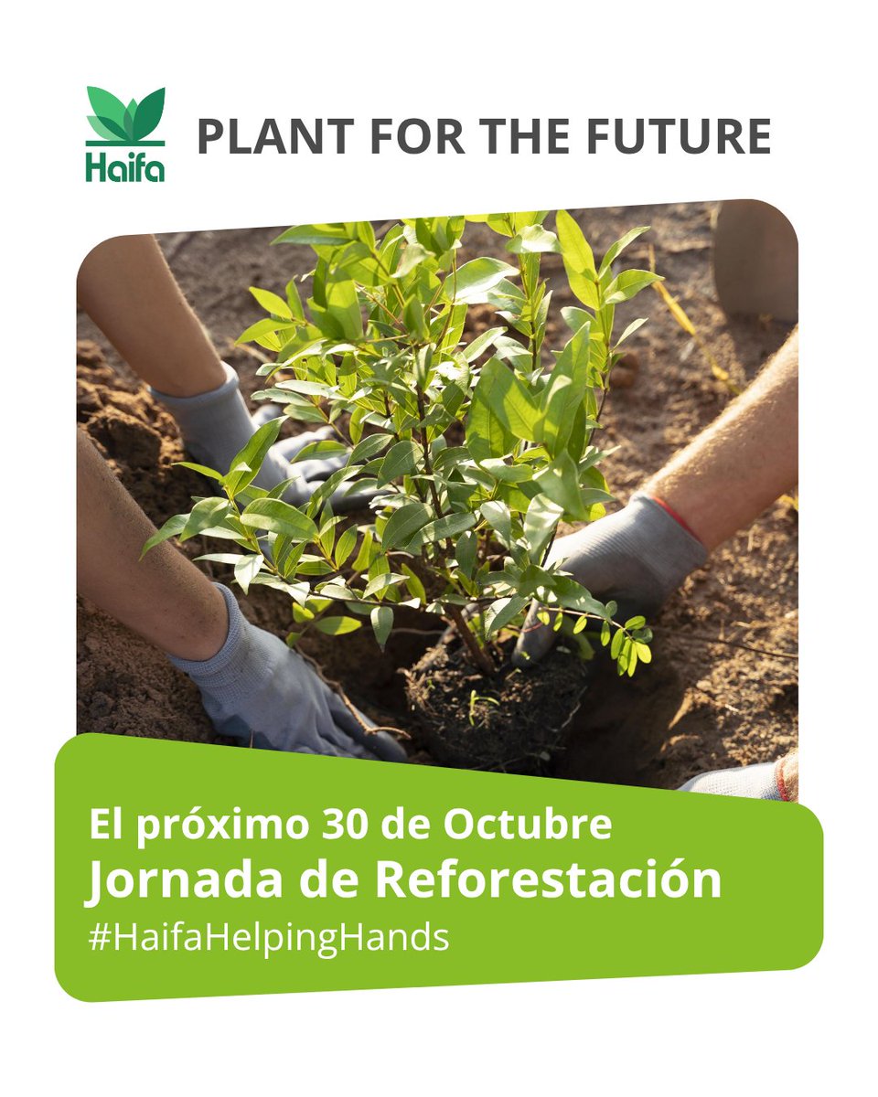 Como parte de nuestra estrategia de sostenibilidad y responsabilidad social, el próximo 30 de Octubre todo el personal de Haifa Iberia participará en una Jornada de Reforestación, con el objetivo de contribuir activamente a la recuperación de nuestro ecosistema.