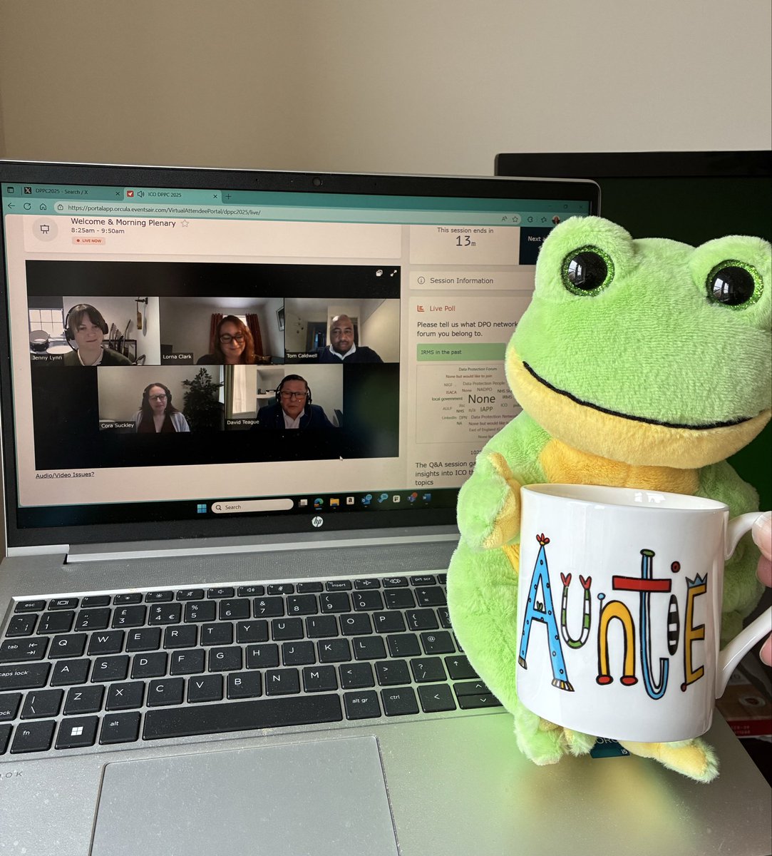 BeeW1234's tweet photo. I give you Jean the Frog holding one of my favourite mugs as I watch #DPPC2025 #dppcpets https://t.co/ARalFF3YAT