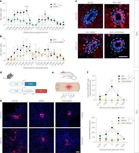 👋Channelomics.bsky.social👋 tweet media