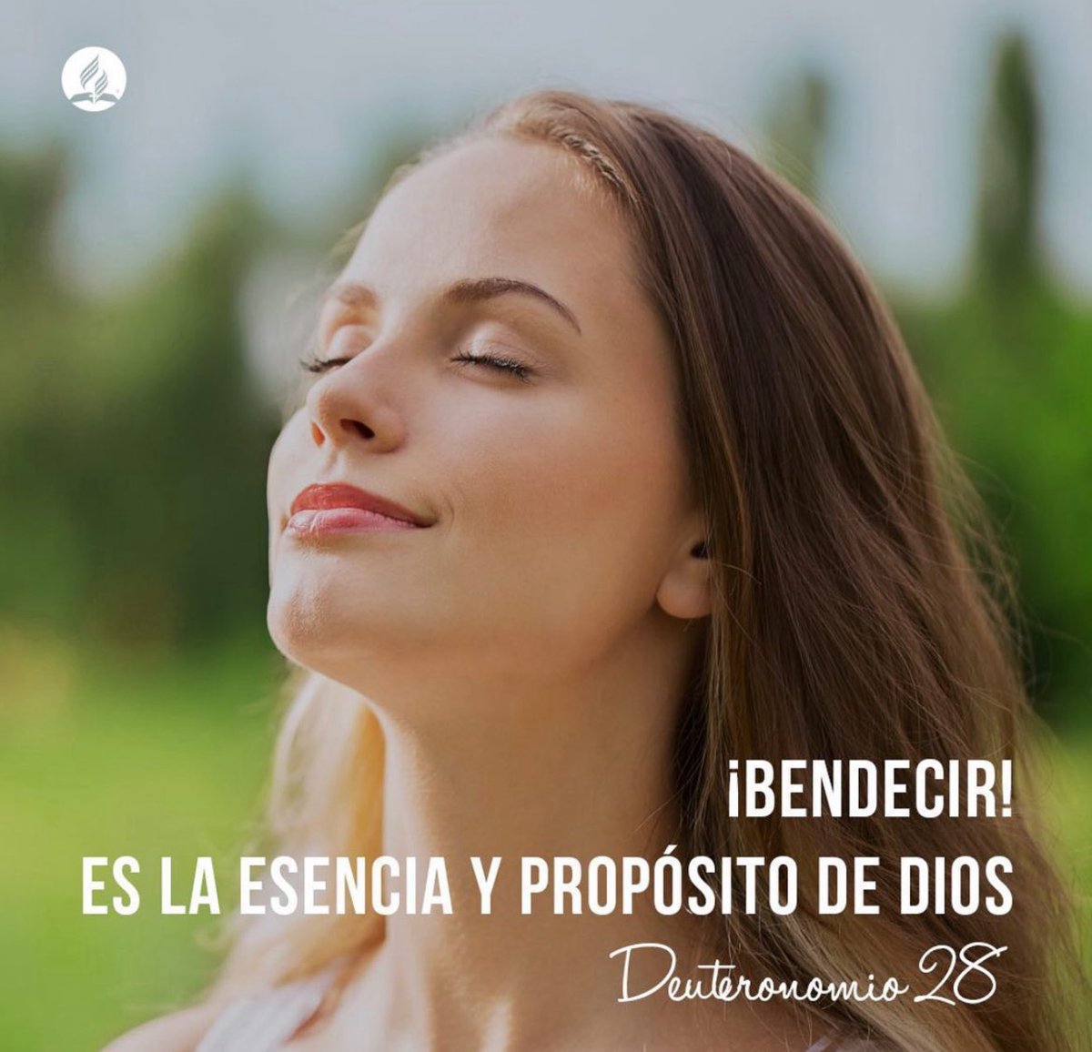 brunoraso's tweet photo. 🔶Advertencias y promesas de abundantes bendiciones.  
🔶Bendecir es la esencia y propósito de Dios.  
🔶Disfrútala y compártela 
#rpSp 
👉  https://t.co/eLcO6TpZkU https://t.co/70X83vRP2E