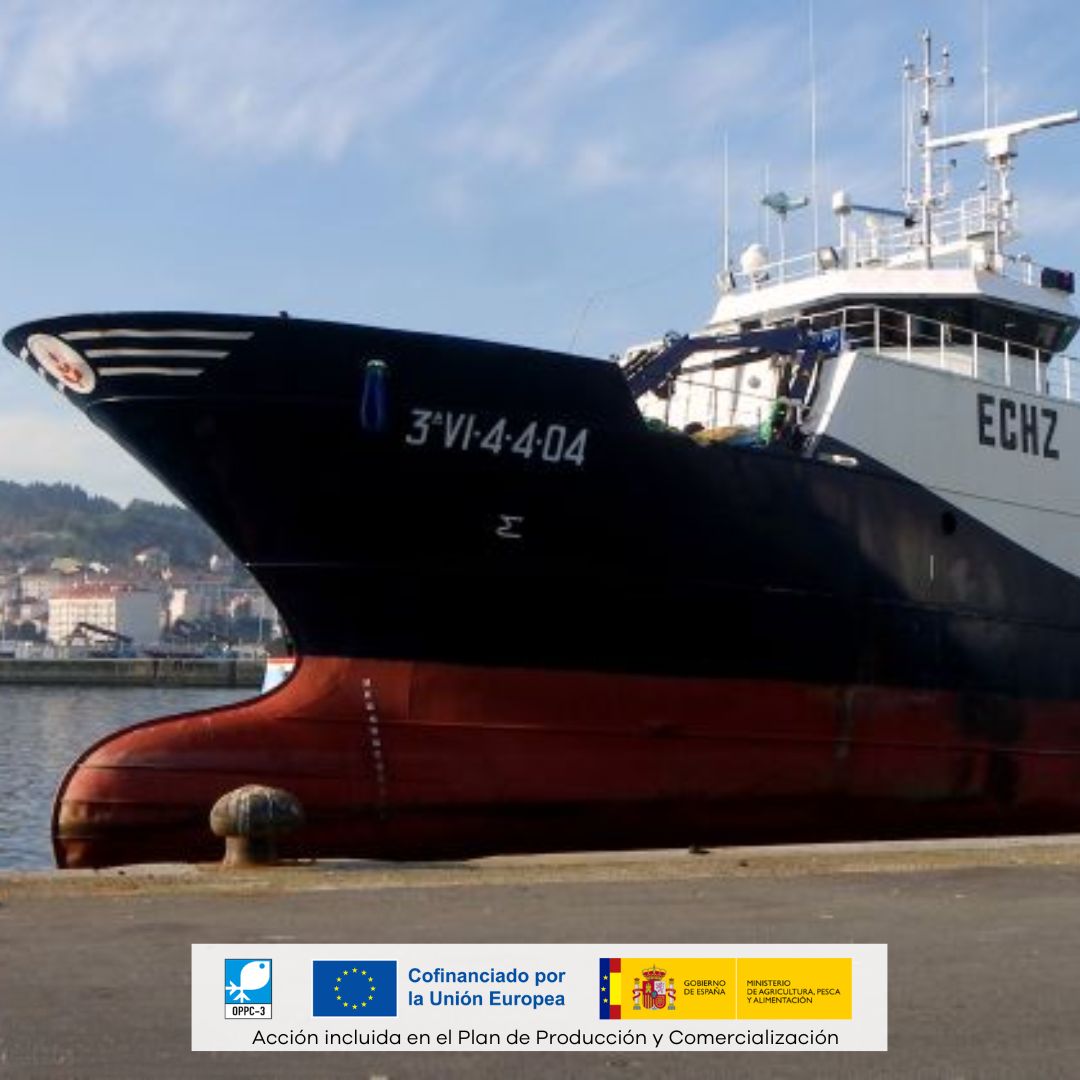 👉 La trazabilidad en los productos pesqueros asegura que cada paso del proceso, desde la captura hasta la venta, sea transparente y verificable.

Con las etiquetas puedes certificar que tu #pescado proviene de fuentes responsables.

Acción patrocinada por el <a href="/gobmapa/">Ministerio de Agricultura, Pesca y Alimentación</a> y el #FEMPA