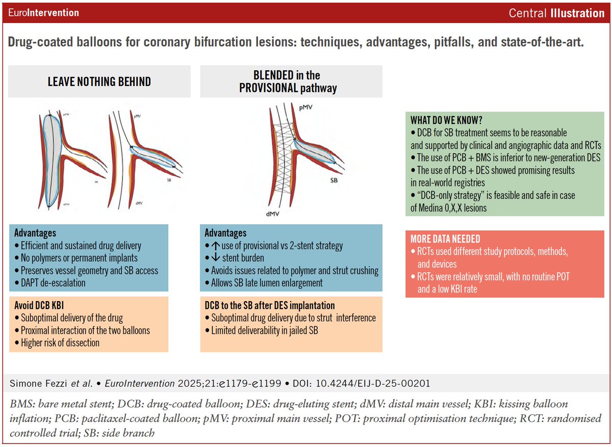 🚨 NEW AOP in EuroIntervention!
<a href="/FezziSimone/">SimoneFezzi</a> et al. review the use of drug-coated balloons in coronary bifurcation PCI — offering practical guidance for standalone and hybrid strategies.
<a href="/Dr_TRissanen/">Tuomas Rissanen</a> ; <a href="/Mattialunardi/">Mattia Lunardi</a> ;  <a href="/BernardCortese/">Bernardo Cortese</a>  ;  <a href="/FlavioRibichini/">Flavio Ribichini</a> ; <a href="/MdScarsini/">Roberto Scarsini</a>