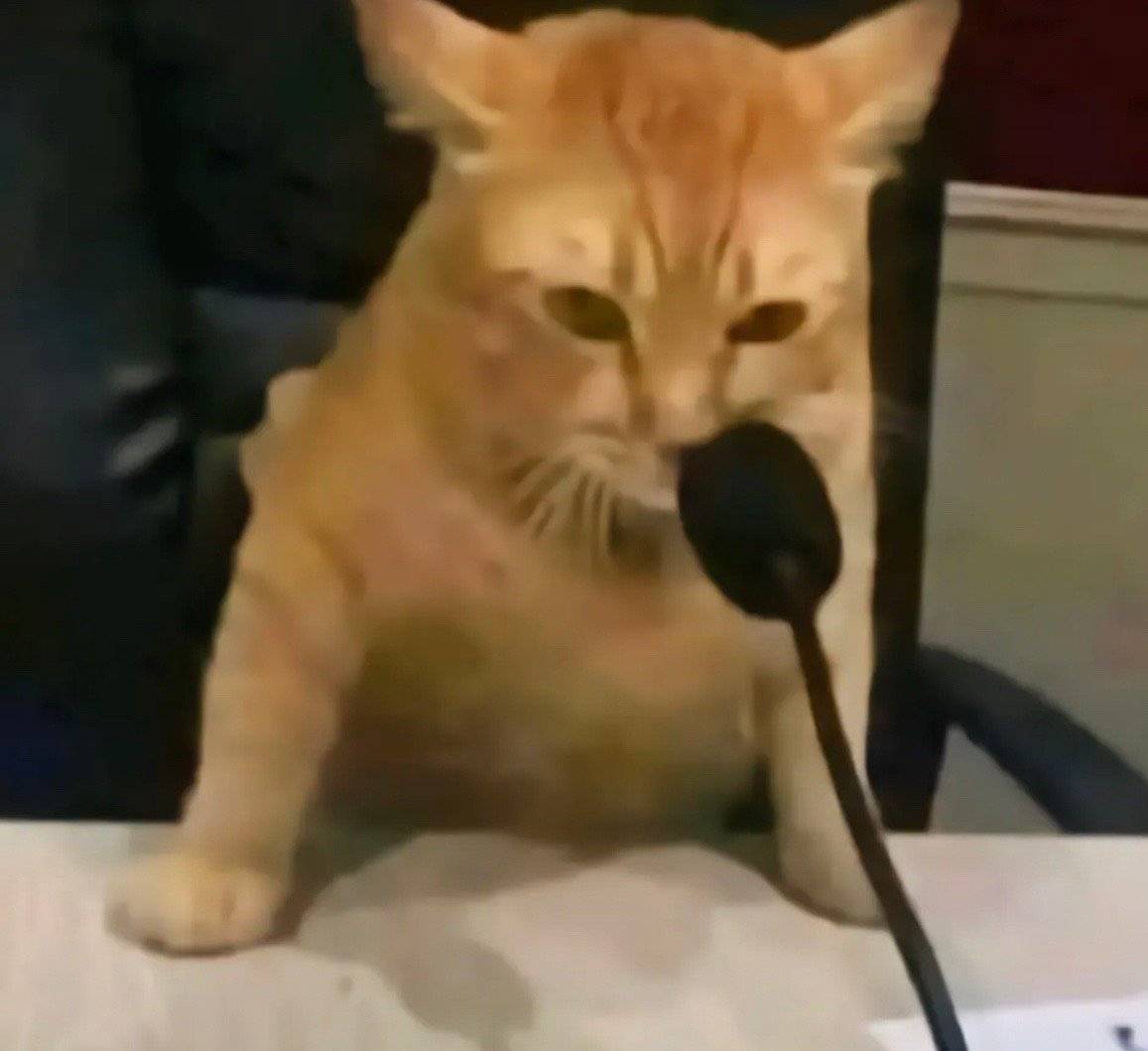 说出来我都觉得有 点奇怪 别人恋足 我 恋手。 .... 虽然看 起来没有恋 足那么变态 但是感觉有 点过于小众了 喜欢给好看的 手口交 能舔上半小时。.......喜欢被好看的手指奸