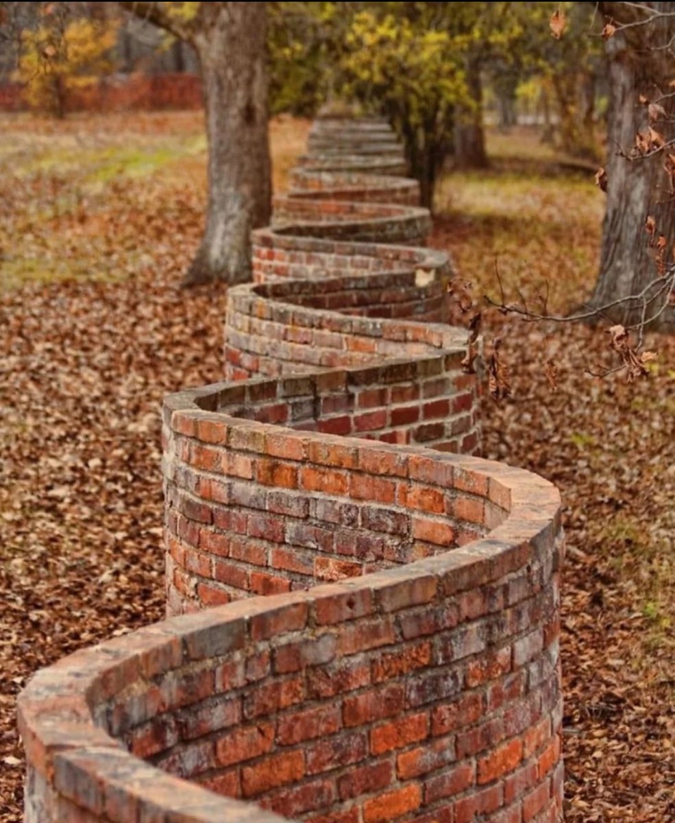 photonopticum's tweet image. Es ist Herbst, jetzt auch hier . 
Und hier sehen Sie den natürlichen Feind des Laubbläsers. 😏