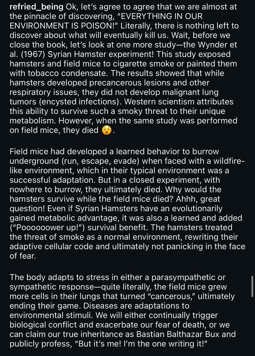 Yungkingmito tweet media