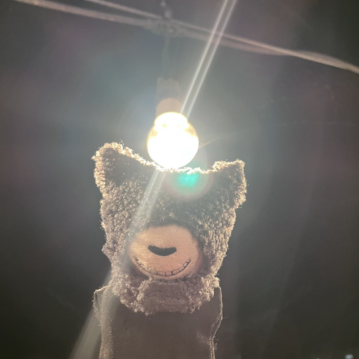 しぇぼんくん ふぉと📷

ふらっしゅばっく💥

#ぬい撮り #ぬい活 #写真好き #しぇぼんくん
