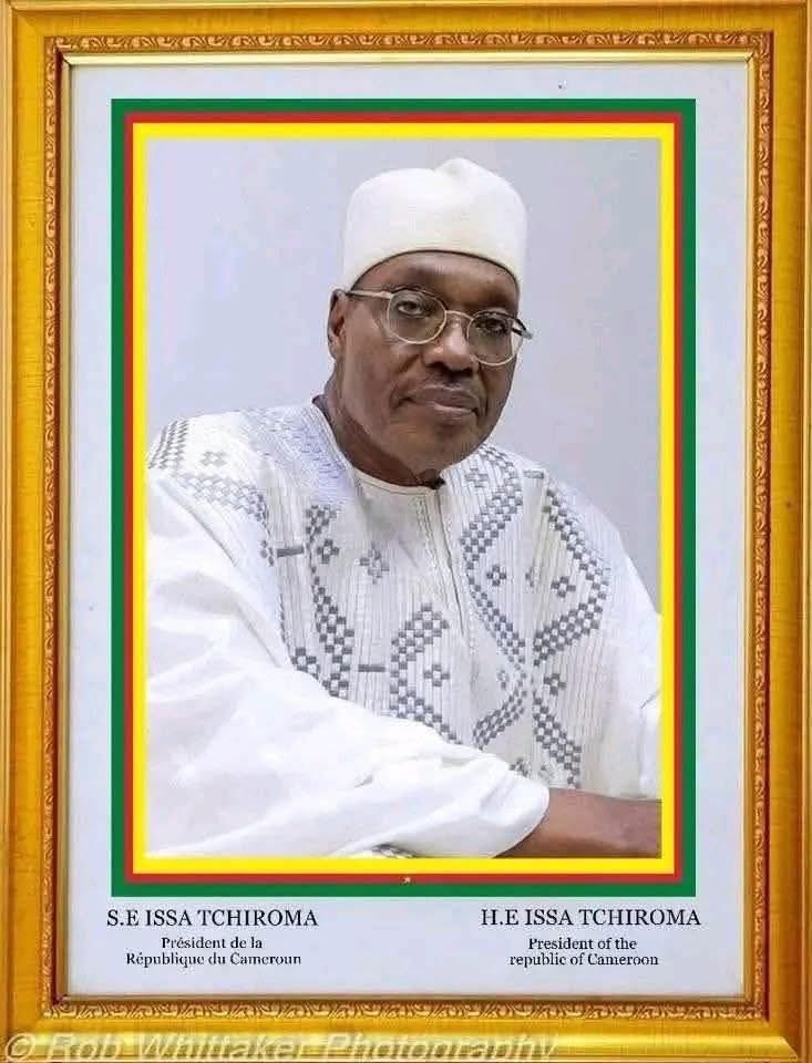 Salomene Tchaptchet tweet media